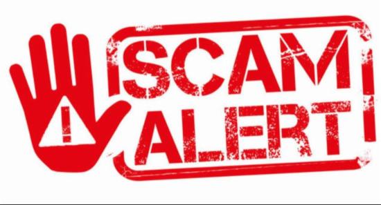 18 Chinese Nationals Held Over Online Scam Network